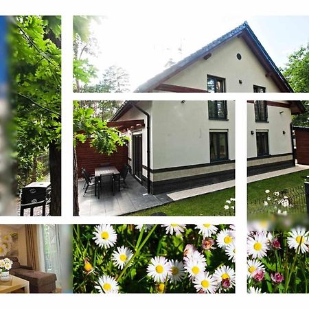 Daisy - Sunny Flowers Apartments Łukęcin Eksteriør bilde